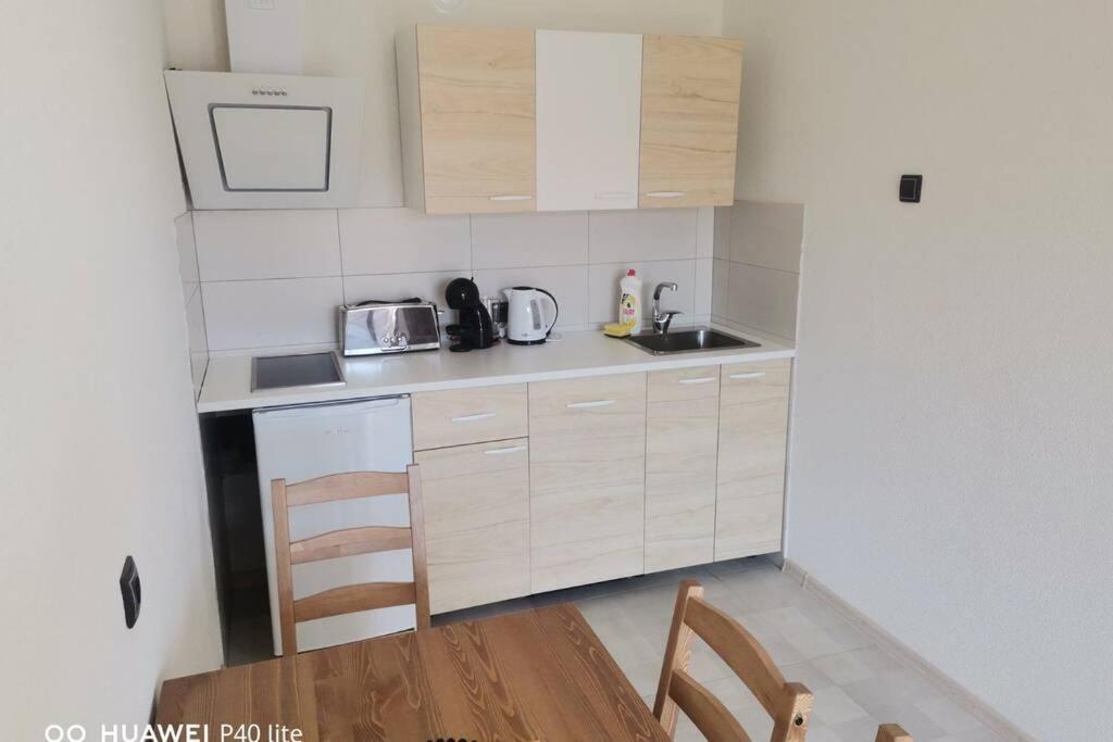 Apartment Rajic Golubac Exterior foto